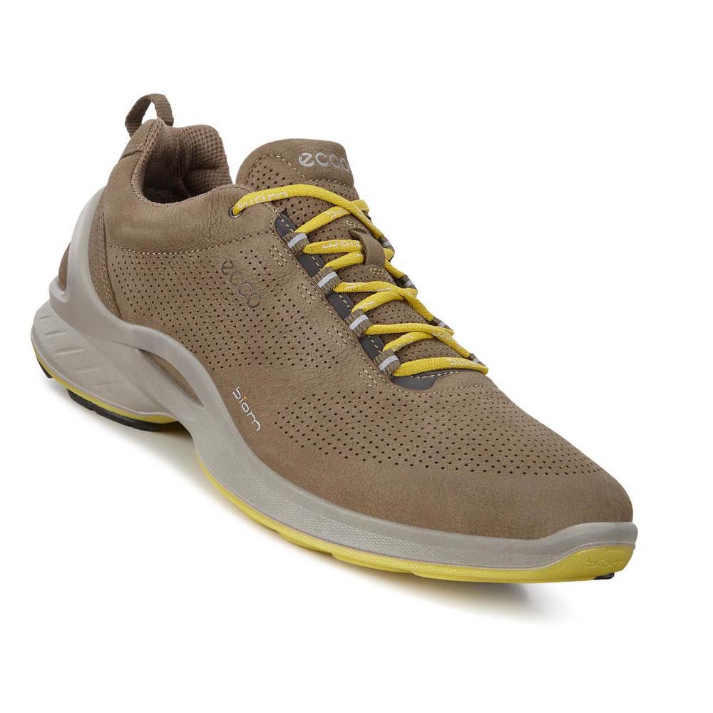 Ecco Mens Biom Fjuel Perf Hiking & Trail Herr Bruna | SE 568JPQ